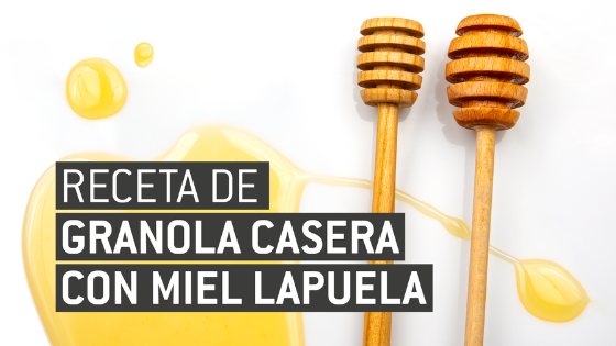 Receta granola con miel LAPUELA