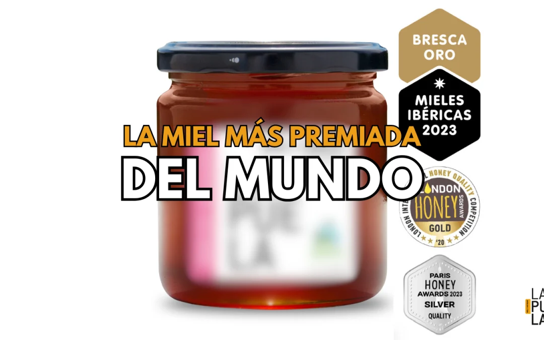 Descubre la miel más premiada del mundo, es Española y muy barata: ¿Qué la hace tan especial?
