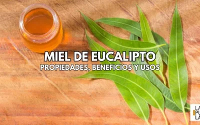Miel de Eucalipto: Propiedades y Beneficios
