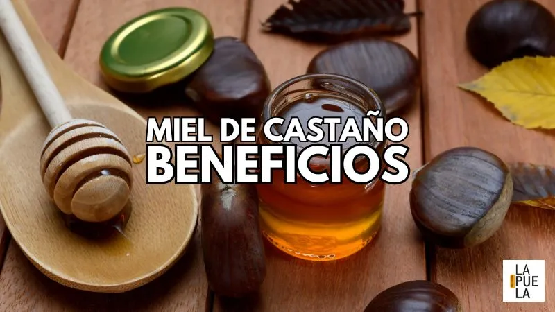 Beneficios de la Miel de Castaño para la Salud