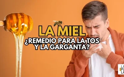 La miel: El remedio natural para la tos y el dolor de garganta