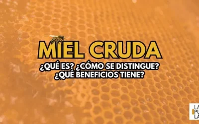 La Miel Cruda: El Tesoro Dorado de la Naturaleza y sus Beneficios