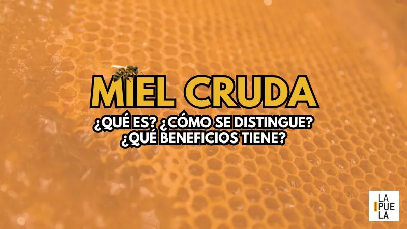 miel cruda: ¿Qué es? ¿Cómo se distingue? ¿Qué beneficios y usos tiene?