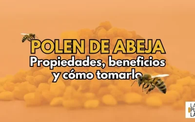 Polen de abeja: Propiedades, beneficios y cómo tomarlo