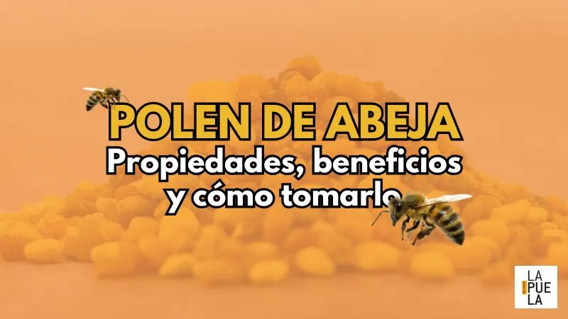 Polen de abeja: Propiedades, beneficios y cómo tomarlo