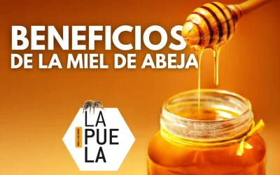 Beneficios de la miel de abeja: evidencia, seguridad y cómo usarla bien